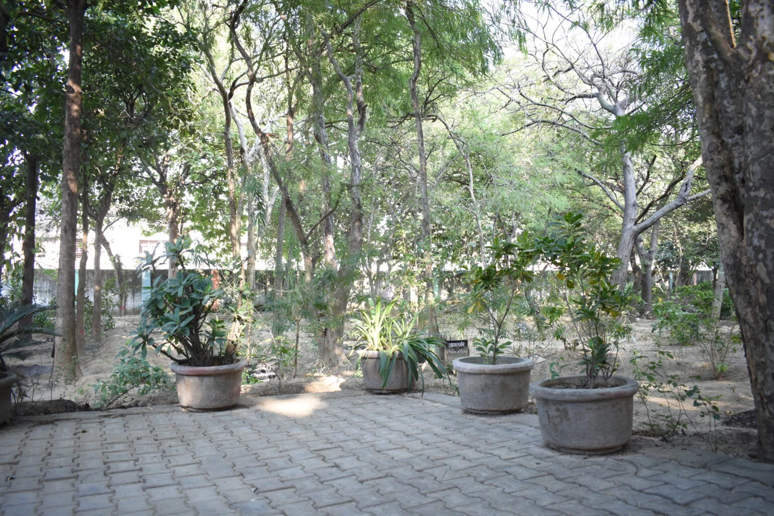 Herbal Garden